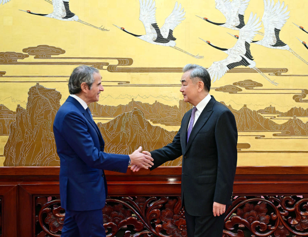 王毅会见国际原子能机构总干事格罗西